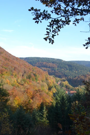 Bad Grund - vom Weltwald Richtung Iberg Bad Grund - vom Weltwald Richtung Iberg