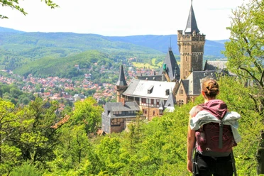 Toller Ausblick auf das Schloss