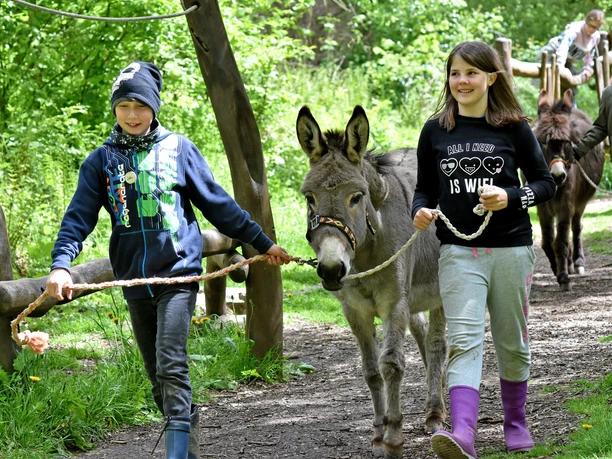 Heinz-Sielmann-Stiftung, Natur-Erlebniszentrum