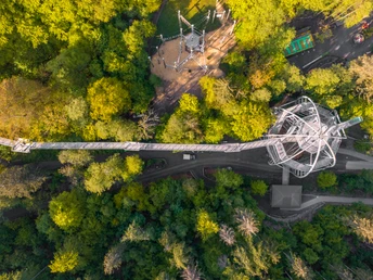 Baumwipfelpfad Harz Draufsicht