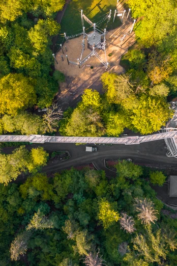 Baumwipfelpfad Harz Draufsicht