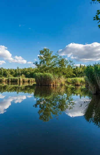 Oberer Kranichteich in Bad Sachsa
