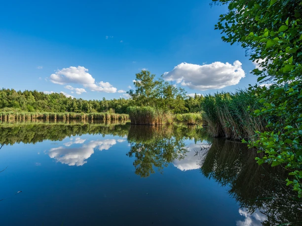 Oberer Kranichteich in Bad Sachsa