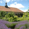 Kloster Michaelstein - Blick in die Gemüsegärten