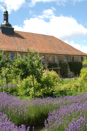 Kloster Michaelstein - Blick in die Gemüsegärten