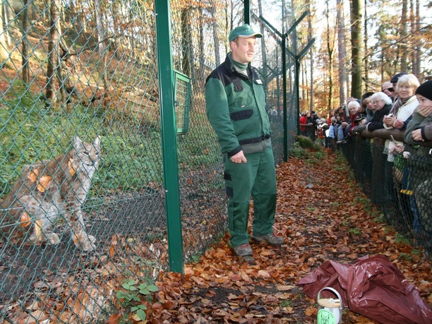 Luchsschaugehege bei Bad Harzburg
