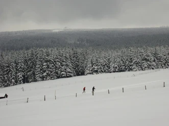 Langlauf in Altenau