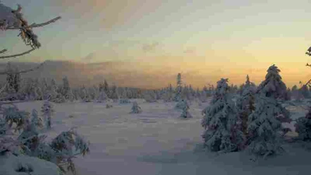 Altenau im Winter