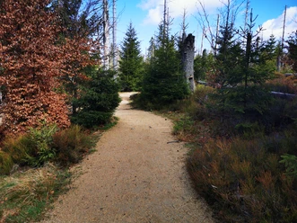 Wasserwanderweg Oderteich