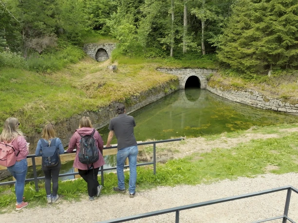 Hutthaler Widerwaage Huttaler Widerwaage