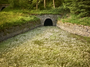 Hutthaler Widerwaage Welterbe im Harz