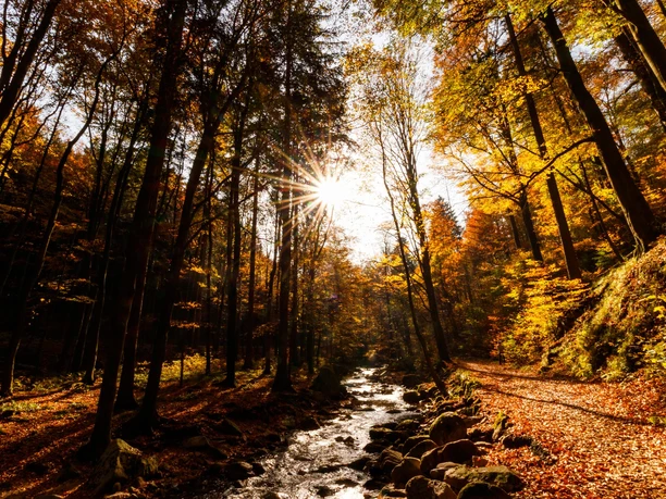 Heinrich-Heine-Weg im Ilsetal
