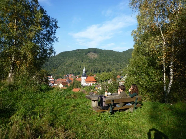 Entlang der Tour Lautenthaler Kunstgraben