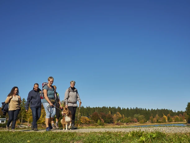 Wandern zu den Buntenböcker Teichen Welterbe im Harz