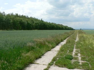 Am Grenzweg