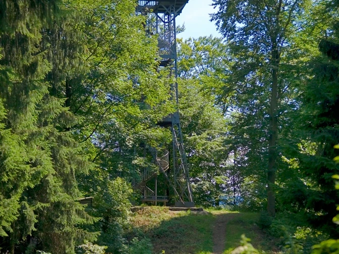 Lerbach Kuckholzklippe