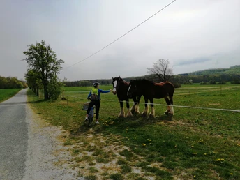 Dorfidylle bei Wienrode