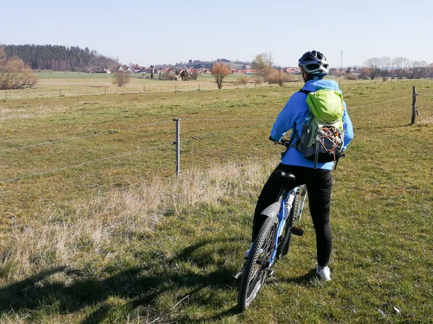 Blick zum Kamelfelsen in Westerhausen
