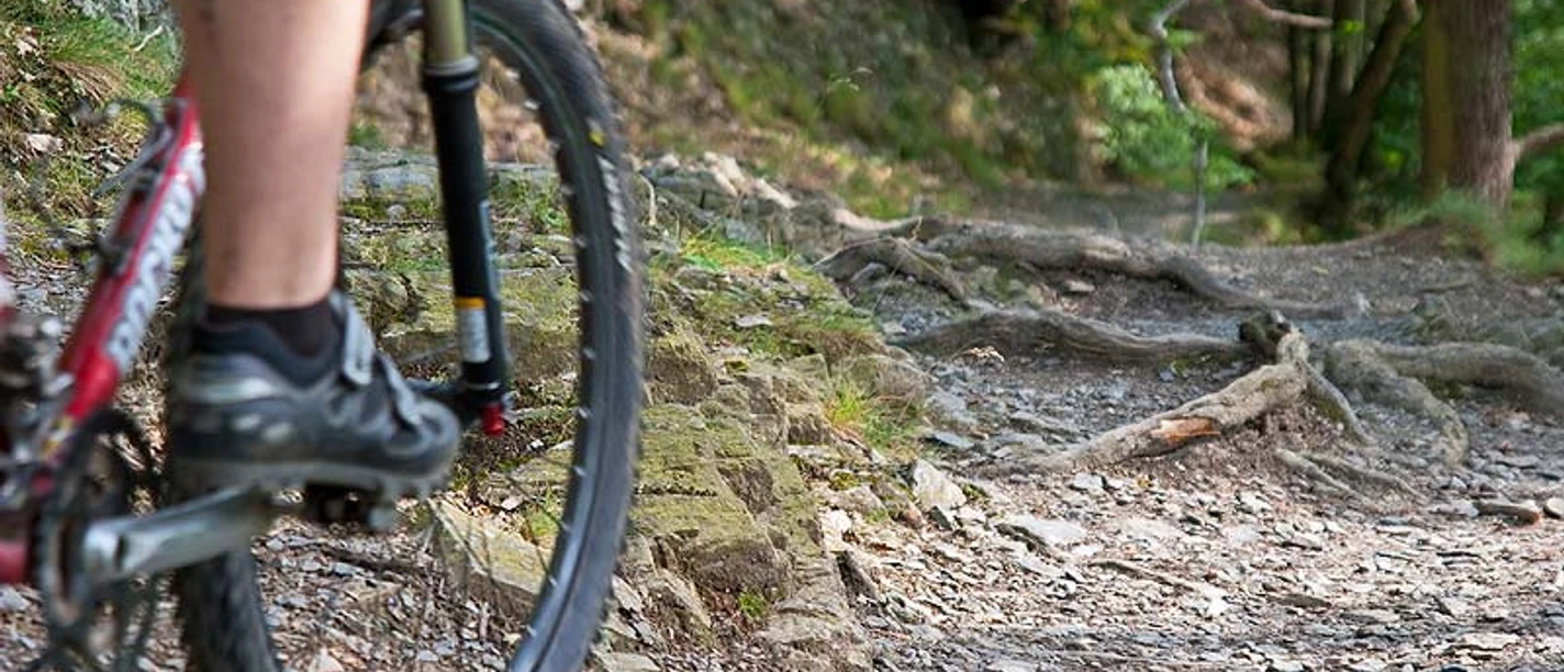 Trail bei Stecklenberg.