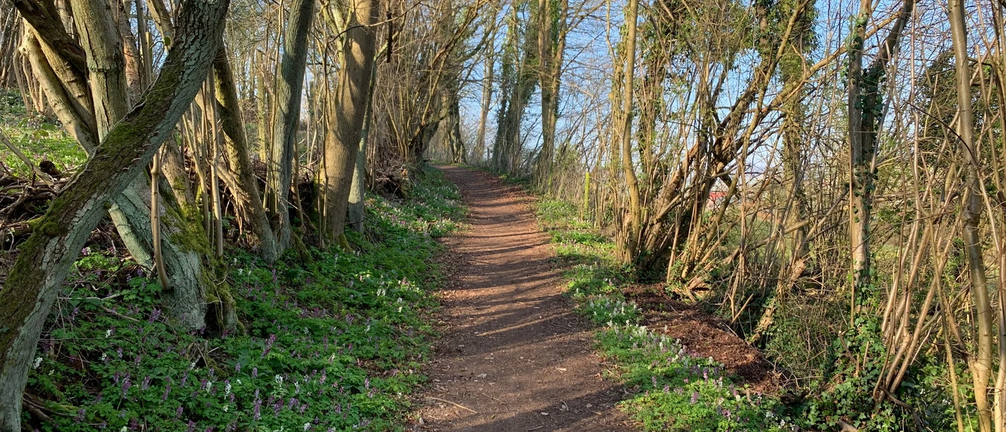 Lamspringer Wanderweg