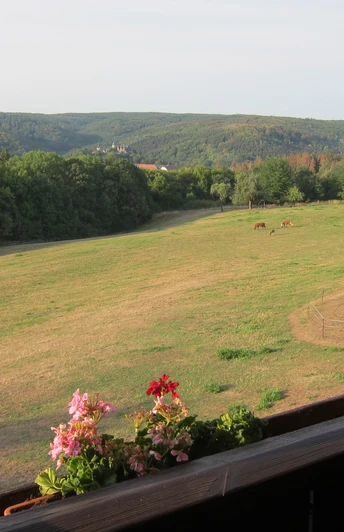 Harz-Rundweg 3. Etappe - Rammelburgblick