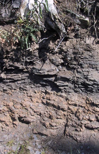 Schiefer im Schwiebachtal