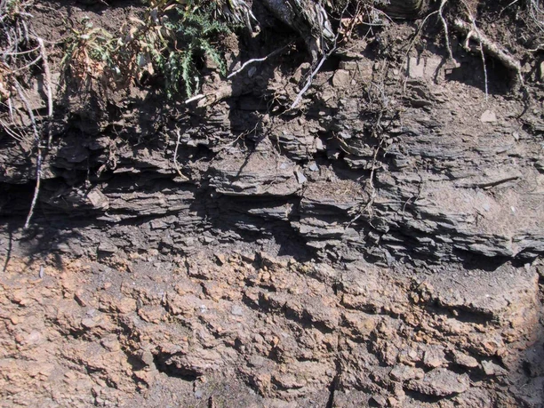 Schiefer im Schwiebachtal