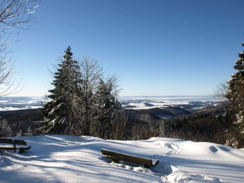 Winterimpressionen in Bad Sachsa Foto: Michael Schaschek