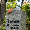 Wegweiser nach Friedrichsbrunn