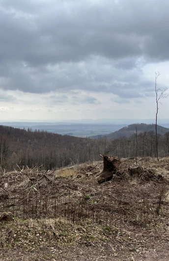 Ausblick vom "Großen Knollen" nach Süden