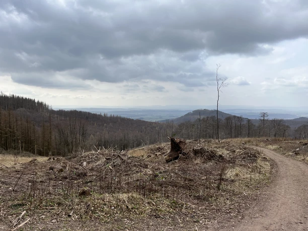 Ausblick vom "Großen Knollen" nach Süden