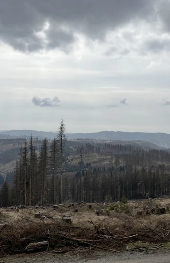 Aussicht vom "Acker" Richtung "Großer Knollen"
