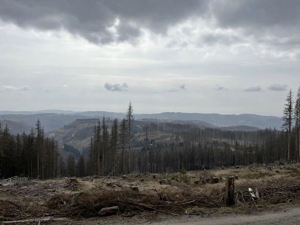 Aussicht vom "Acker" Richtung "Großer Knollen"