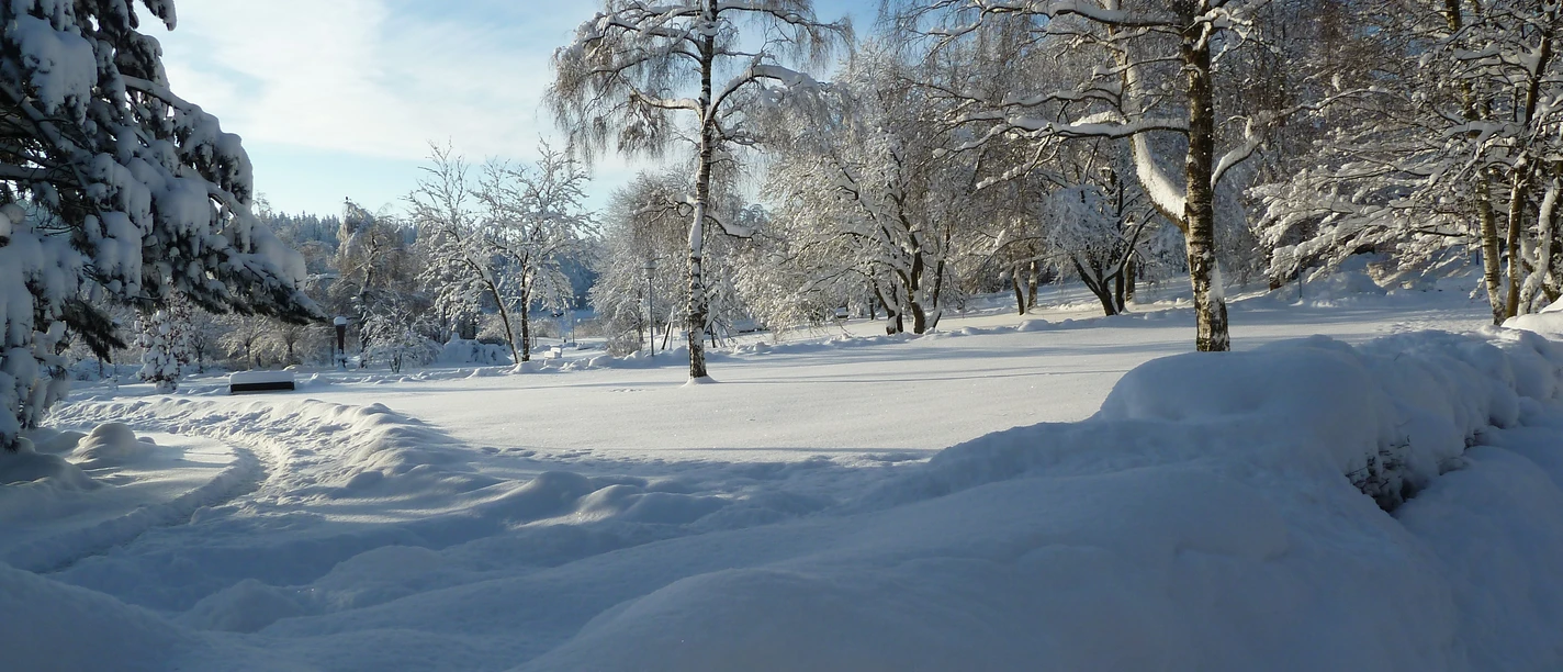 Hahnenkleer Bergstraße