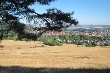 Harz-Rundweg 1. Etappe - Aussicht Blauer Haufen Goslar