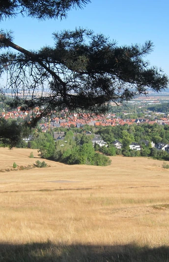 Harz-Rundweg 1. Etappe - Aussicht Blauer Haufen Goslar