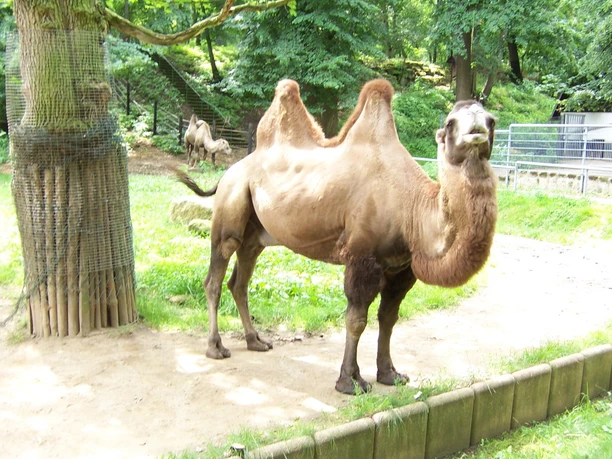 Tiergarten Halberstadt