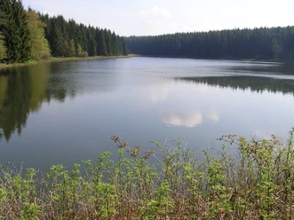 Nasswieser Teich