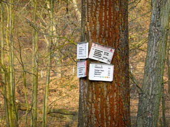 Wegeschilder am Ostergrund
