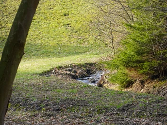 Wellbach unterhalb des Heiligen Teiches