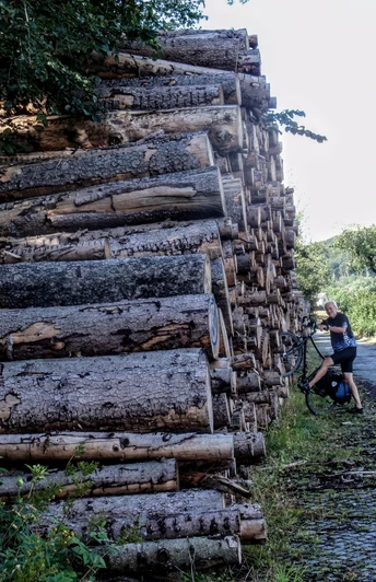 Harz-Rundweg 5. Etappe - Holzpolter