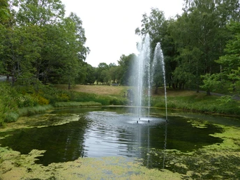 Kurpark in Hohegeiß