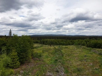 Landschaft bei Polsterberg