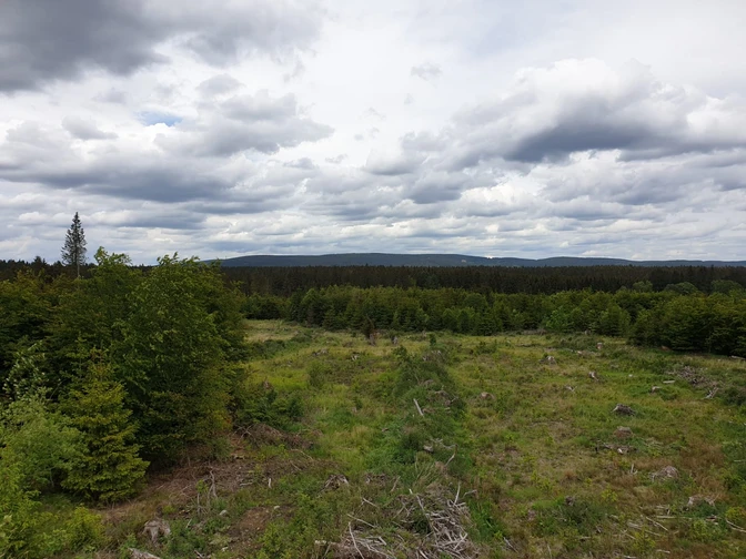 Landschaft bei Polsterberg