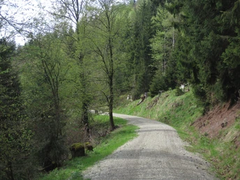 Wanderweg im Kunzental