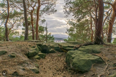 Brockenblick über Langenstein von den Thekenbergen, Stefan Herfurth