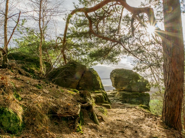 Thekenberge - Fuchsklippe, Stefan Herfurth