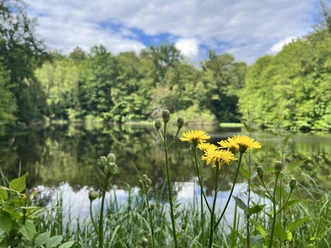 Priorteich