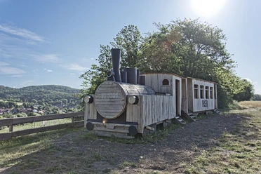 Holzdampflok bei Neustadt