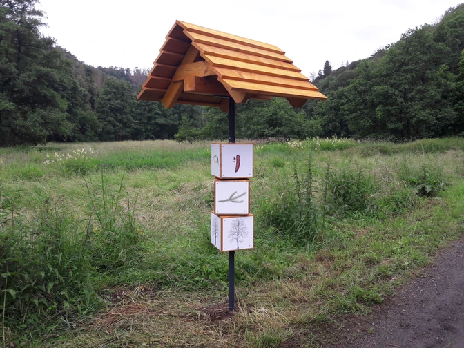 Naturerlebnispfad im Selketal